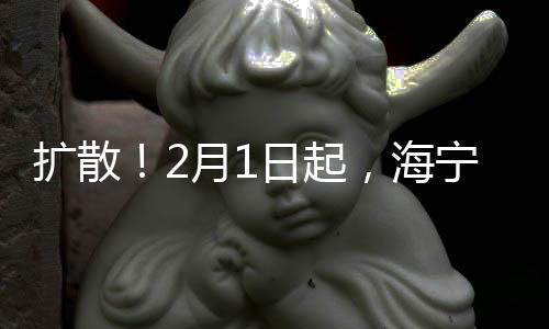 擴(kuò)散！2月1日起，海寧城市公交、城鄉(xiāng)公交全部暫時(shí)停運(yùn)！