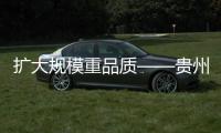 擴大規模重品質——貴州都勻毛尖產業轉型發展觀察