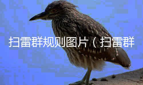 掃雷群規則圖片（掃雷群規則）