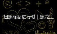 掃黑除惡進行時｜黑龍江聚焦民生領(lǐng)域突出問題 推進掃黑除惡常態(tài)化