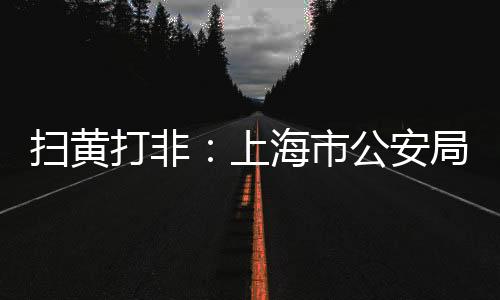掃黃打非：上海市公安局奉賢分局偵破了一起制作、販賣、傳播淫穢物品案
