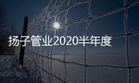 揚子管業2020半年度會議圓滿落幕