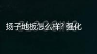 揚(yáng)子地板怎么樣? 強(qiáng)化地板（揚(yáng)子地板怎么樣）