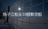 揚子江船業10艘散貨船訂單浮出水面