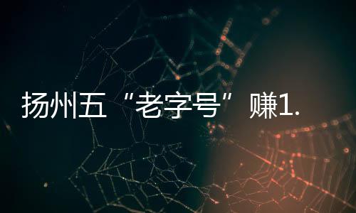 揚(yáng)州五“老字號”賺1.57億