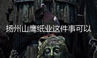 揚州山鷹紙業這件事可以這樣理解嗎?