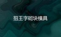 扭王字砌塊模具