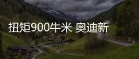 扭矩900牛米 奧迪新款SQ7 TDI官圖發(fā)布