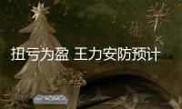 扭虧為盈 王力安防預計2023年年度凈利潤為4500萬元到6700萬元
