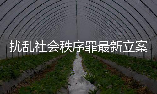 擾亂社會秩序罪最新立案標準（擾亂社會秩序罪）