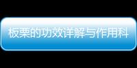 板栗的功效詳解與作用科普