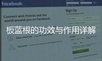 板藍根的功效與作用詳解