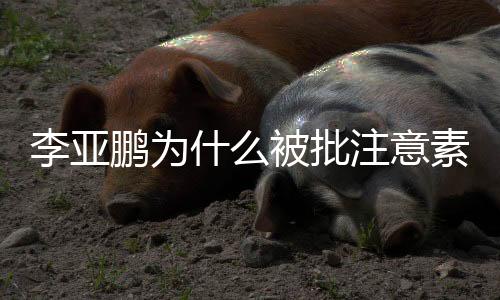 李亞鵬為什么被批注意素質(zhì)？頹廢露面卻敗好感是怎么回事？