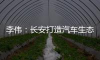 李偉：長安打造汽車生態圈/提升產品質量