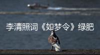 李清照詞《如夢令》綠肥紅瘦指的是 如夢令李清照詞中綠肥紅瘦指的是