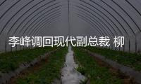李峰調回現代副總裁 柳昌昇任起亞總經理