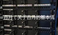 杏月（關(guān)于杏月的基本情況說(shuō)明介紹）