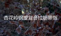 杏花嶺鋼塑復合拉筋帶指標