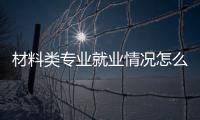 材料類專業就業情況怎么寫（材料類專業就業情況）