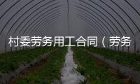 村委勞務(wù)用工合同（勞務(wù)輸出合同）