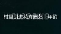 村里引進花卉園藝，年銷售額超7000萬元！海寧共富模式被點贊！