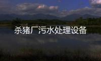 殺豬廠污水處理設備