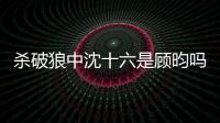 殺破狼中沈十六是顧昀嗎