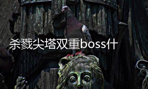 殺戮尖塔雙重boss什么意思（boss什么意思）