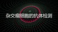 雜交瘤細胞的抗體檢測