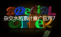 雜交水稻累計推廣應用70多個國家 增產糧食近10000億斤