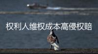 權利人維權成本高侵權賠償數額低