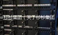 杉杉集團（關于杉杉集團的基本情況說明介紹）