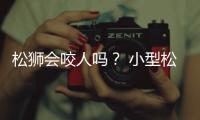 松獅會咬人嗎？ 小型松獅犬咬人嗎