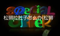 松獅拉肚子怎么辦(松獅口臭怎么辦)