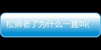 松獅老了為什么一直叫(松獅拉肚子怎么辦)