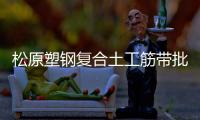 松原塑鋼復合土工筋帶批發(fā)價格