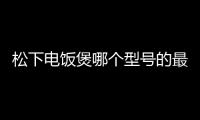 松下電飯煲哪個型號的最好（松下電飯煲質量怎么樣）