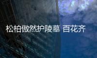 松柏傲然護陵墓 百花齊放慰先人