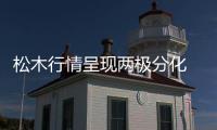 松木行情呈現(xiàn)兩極分化 五角星走貨迅速