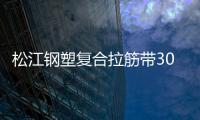 松江鋼塑復(fù)合拉筋帶30020B指標(biāo)