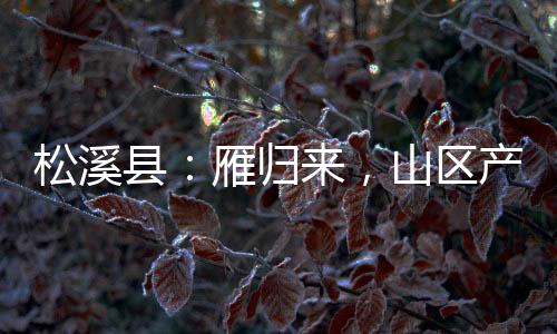 松溪縣：雁歸來，山區產業興