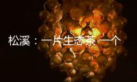 松溪：一片生態(tài)茶 一個(gè)富產(chǎn)業(yè)