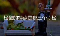 松鼠的特點(diǎn)是哪三個(gè)（松鼠的特點(diǎn)）