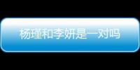 楊瑾和李妍是一對嗎