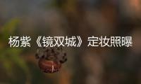 楊紫《鏡雙城》定妝照曝光 頭戴流蘇珠冠白衣廣袖仙氣足
