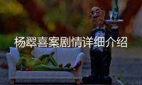 楊翠喜案劇情詳細介紹