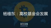 楊維東：高校基金會發(fā)展需要超越簡單的籌資概念