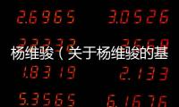 楊維駿（關于楊維駿的基本情況說明介紹）