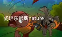 楊培東最新nature！！！ – 材料牛