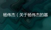楊偉杰（關(guān)于楊偉杰的基本情況說明介紹）